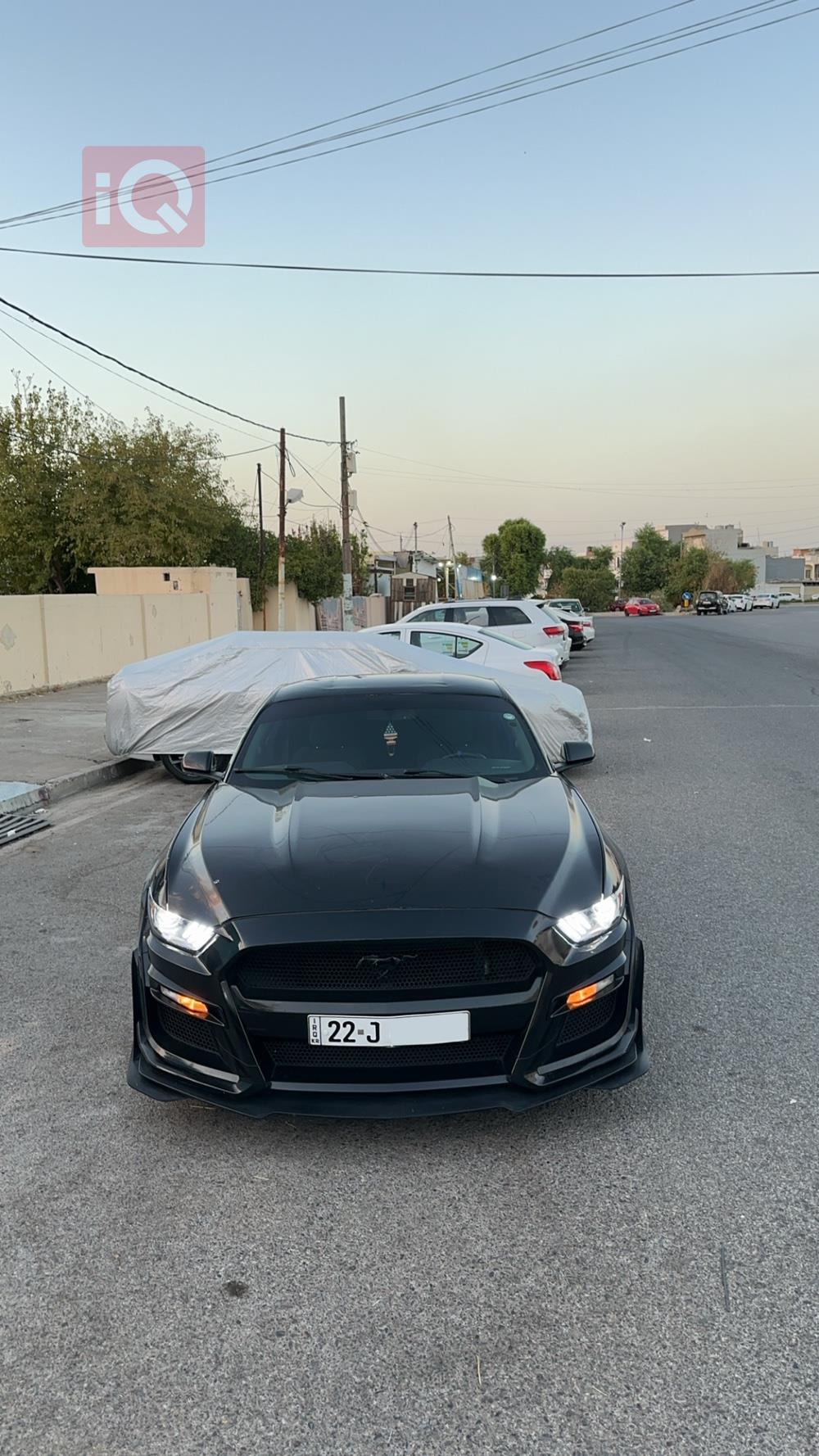 فورد موستانج